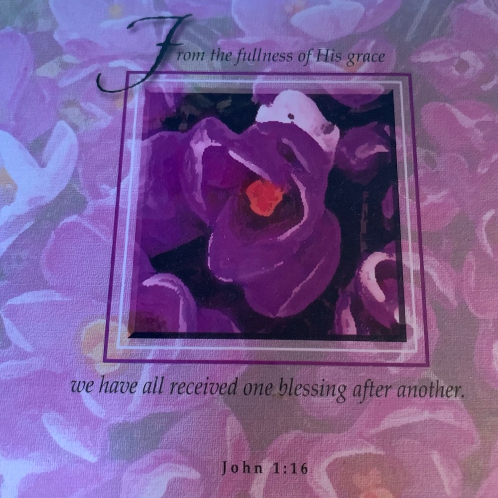 SON Beautiful Picture-Journal 4x6 inch pictures with area to journal